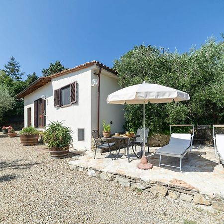 Holiday Home Olivo By Interhome Castellina in Chianti Ngoại thất bức ảnh