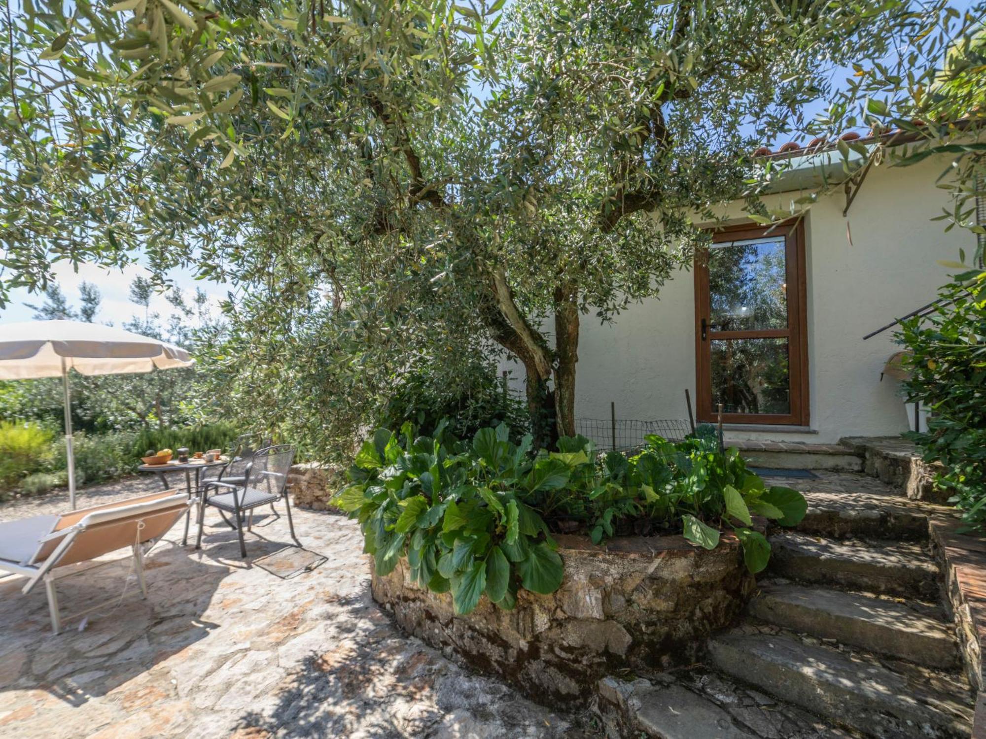Holiday Home Olivo By Interhome Castellina in Chianti Ngoại thất bức ảnh